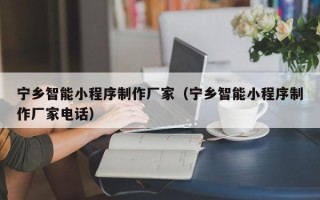 兴安盟宁乡智能小程序制作厂家（宁乡智能小程序制作厂家电话）